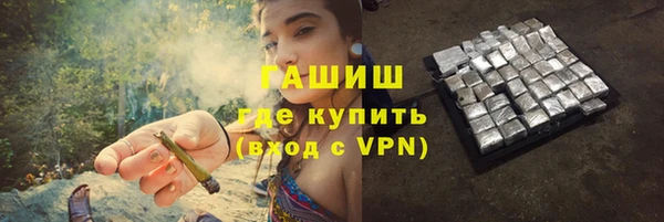 хмурый Аркадак