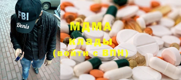 хмурый Аркадак
