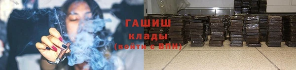 хмурый Аркадак