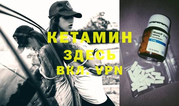 хмурый Аркадак