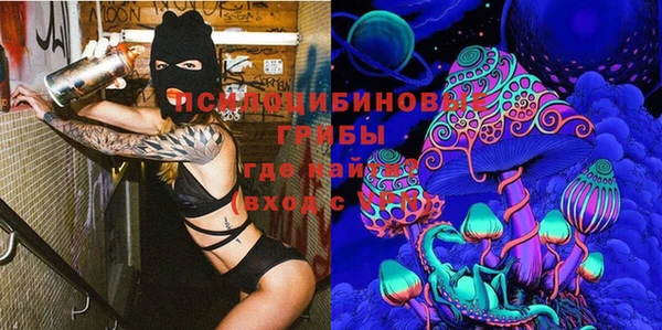 2c-b Арсеньев
