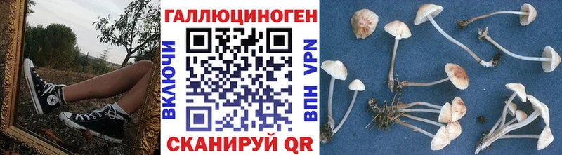 Псилоцибиновые грибы MAGIC MUSHROOMS  сайты даркнета клад  Сорочинск  наркошоп 